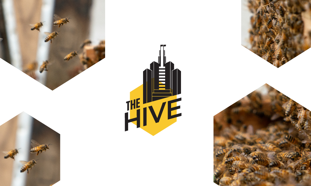 THE HIVE